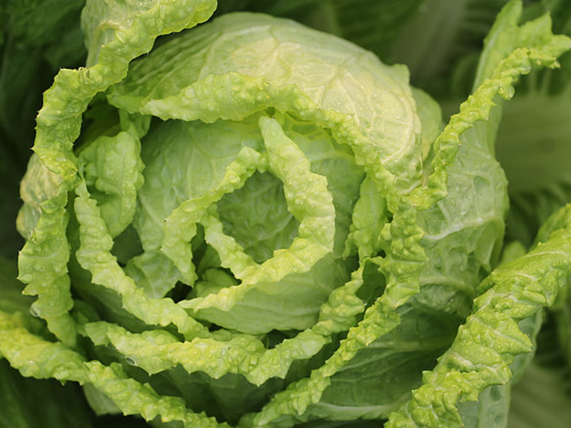 怎樣可以檢測(cè)小白菜中農(nóng)藥殘留是否超標(biāo)？