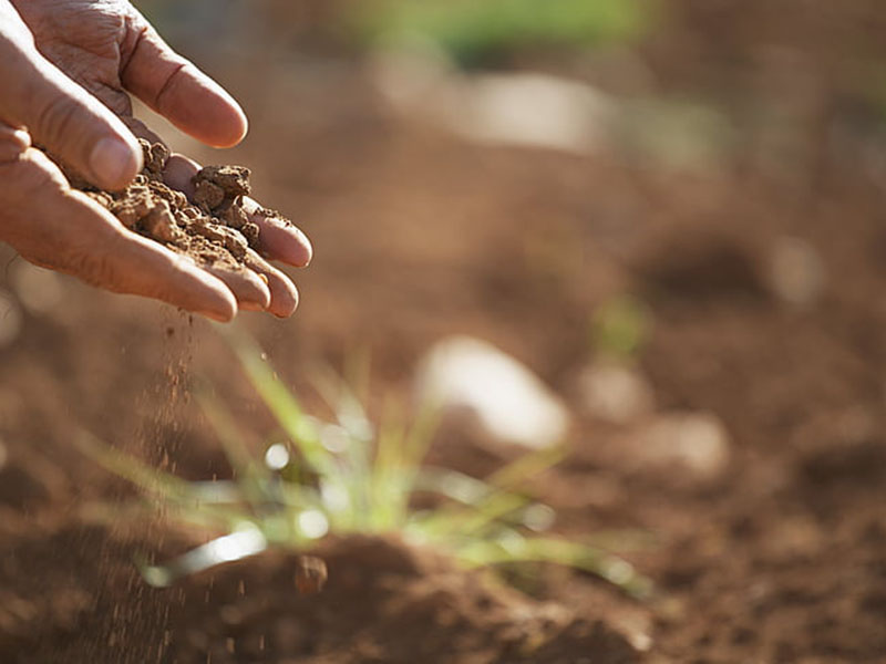 土壤肥料養(yǎng)分檢測儀靠譜嗎？