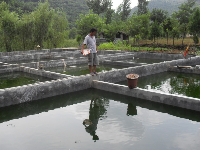 水中硫化氫檢測儀,可以為水產養(yǎng)殖做什么 水中硫化氫檢測儀,可以為水產養(yǎng)殖做什么