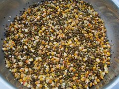 真菌毒素對人和動(dòng)物有極大的危害！