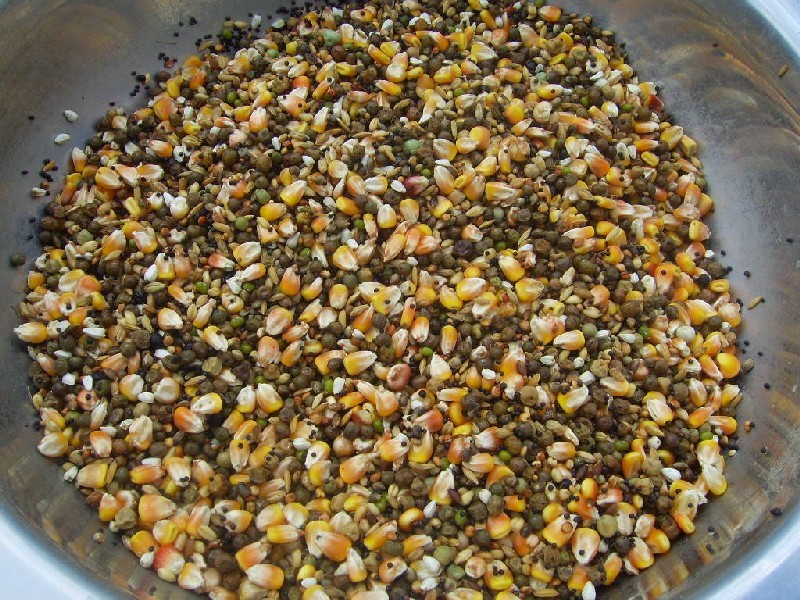 真菌毒素對人和動(dòng)物有極大的危害